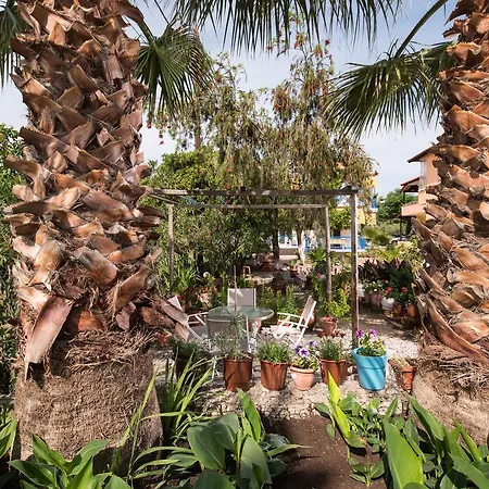 House Souzanna Toroni