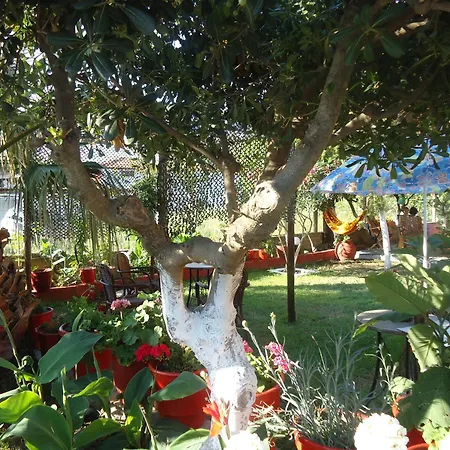 House Souzanna Apartment